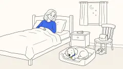 On the first night with a puppy, a trainer rests in her raised bed beside the puppy's separate dog bed.
