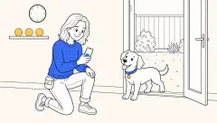 How long does it take to house train a dog? A trainer marks progress as a puppy returns through an open garden door.